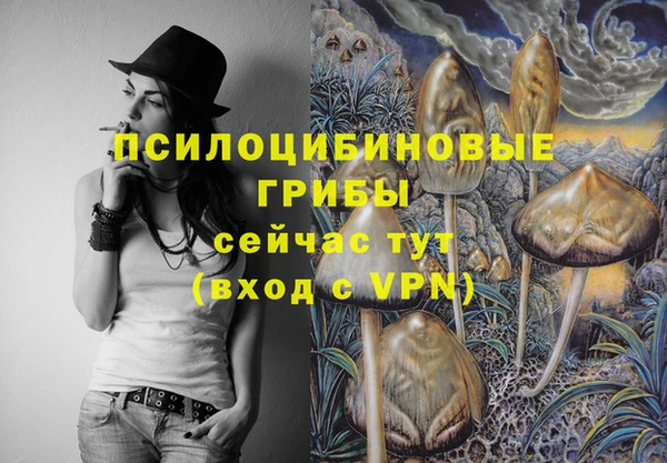 твердый Бронницы
