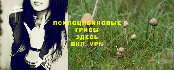 твердый Бронницы
