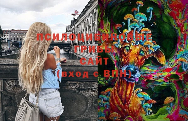 твердый Бугульма