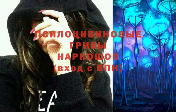 СК Горно-Алтайск