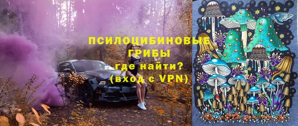 mdpv Горнозаводск